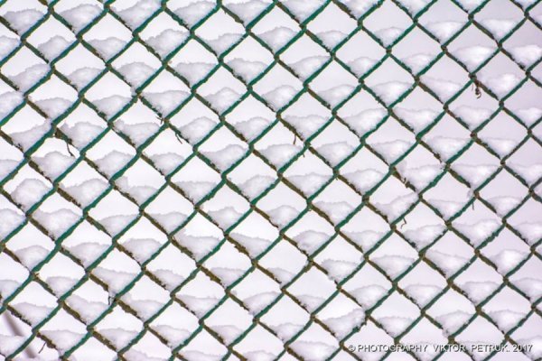 У мережі показали казковий луцький парк під снігом