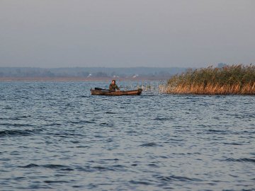 Усі – унікальні: на яких озерах радить відпочити директорка Шацького нацпарку. ВІДЕО