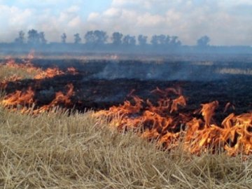У Луцькому районі горіла стерня, яка ледь не знищила 50 гектарів сої