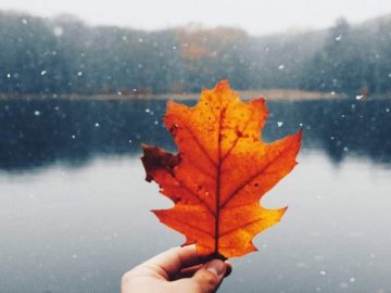 Погода в Луцьку та Волинській області на п’ятницю, 23 листопада