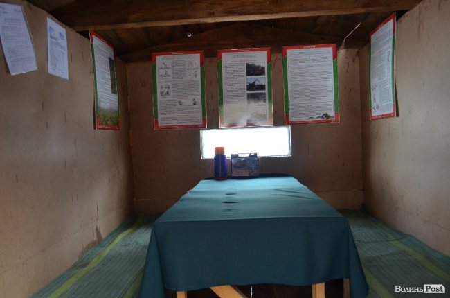 Жнива у зимовому лісі: як на Волині заготовляють деревину. ФОТО