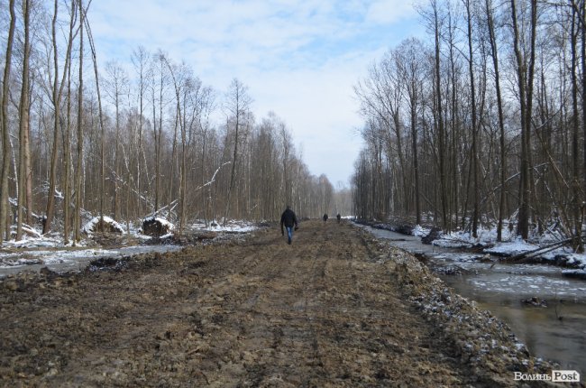 Будівництво лісової дороги, перший етап