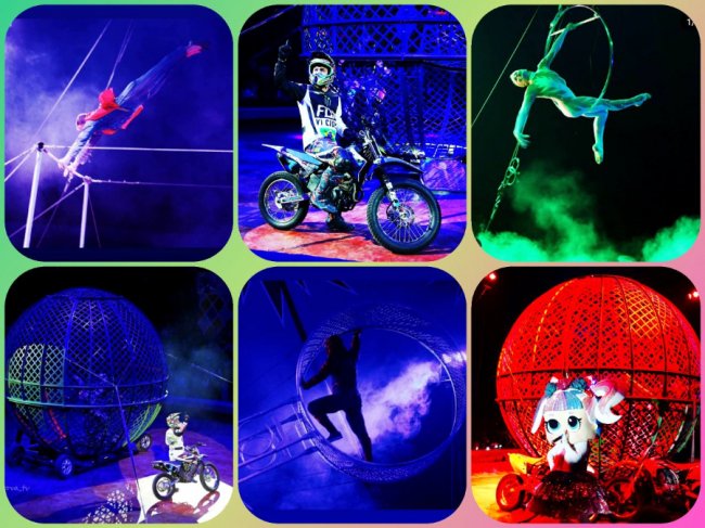 У Луцьку виступить легендарний цирк «Олімп»: розігрують квитки*