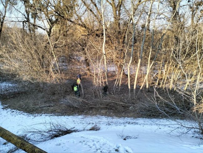 У Луцьку розчищають чагарники й дерева вздовж Стиру. ВІДЕО