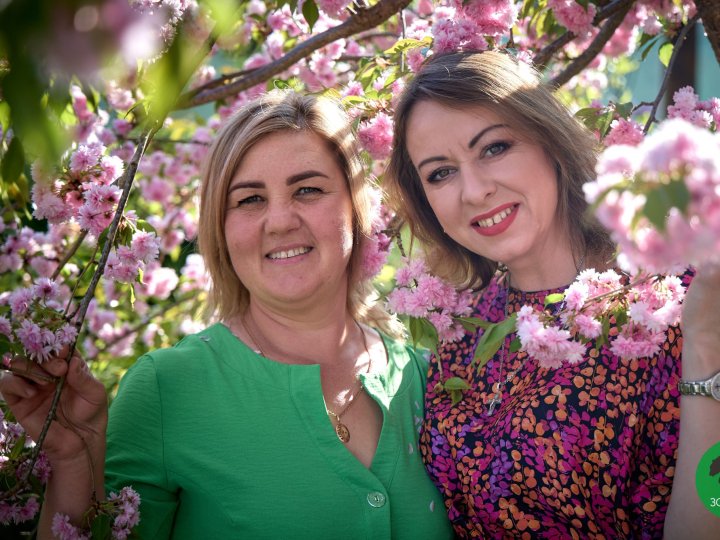 У Луцькому зоопарку зацвіли сакури. ФОТО