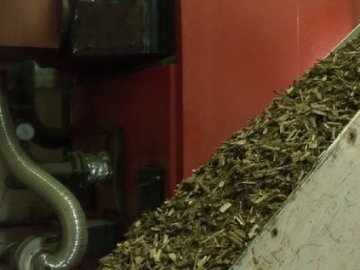 На Волині для економії бюджетні заклади опалюють тріскою енергетичної лози. ВІДЕО