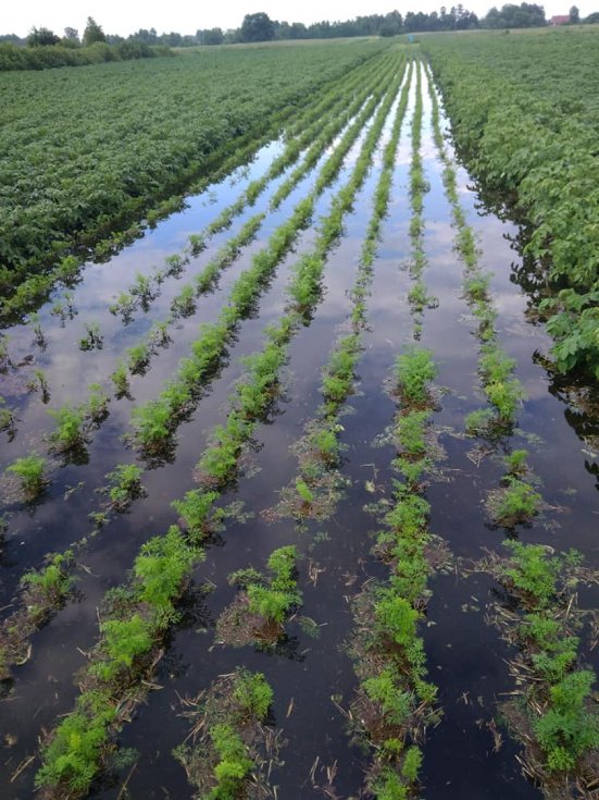 У Шацькому районі негода наробила багато лиха. ФОТО  