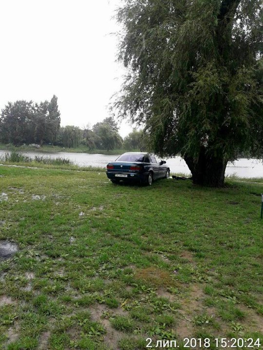 У Луцьку водії нищать газони автівками. ФОТО