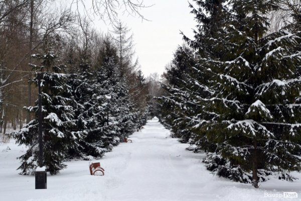 Лютий лютує: фото зими в Луцьку