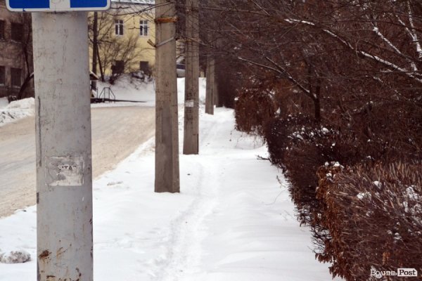 Лютий лютує: фото зими в Луцьку