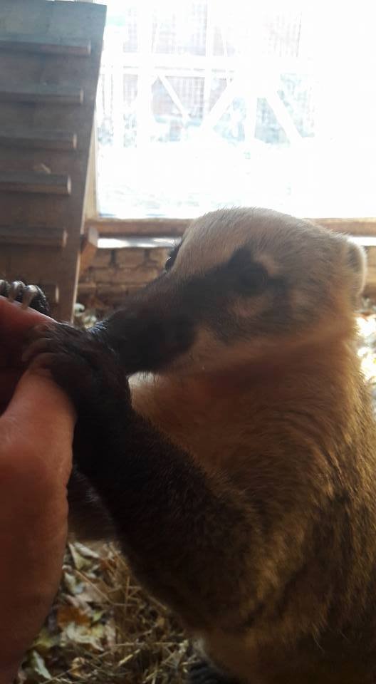 У луцькому зоопарку - поповнення. ФОТО