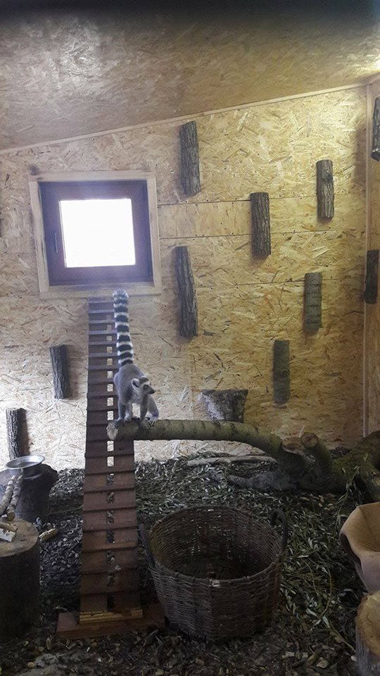 У луцькому зоопарку - поповнення. ФОТО