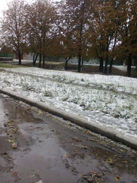 У Донецьку випав сніг. ФОТО