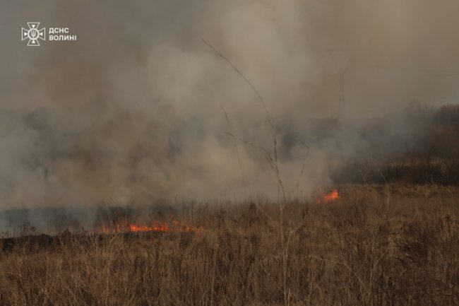 На Волині після підпалу сухої трави горіло 1,5 гектара берега, палійку спіймали. ФОТО