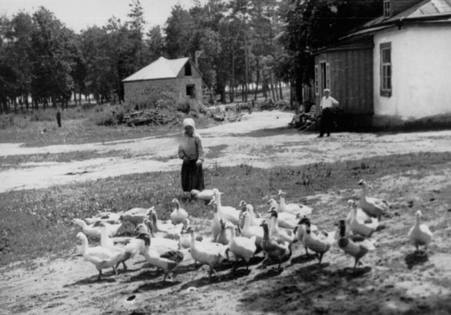 Українські селяни в роки війни