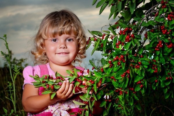 Фотовиставка Дмитра Лисюка