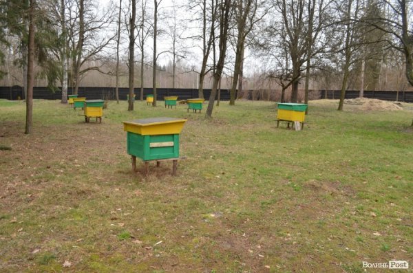 «Межигір'я» по-волинськи: екскурсія лісовими маєтками