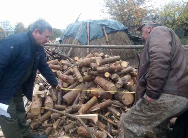 Порізали, порубали, сховали: як на Волині крадуть ліс