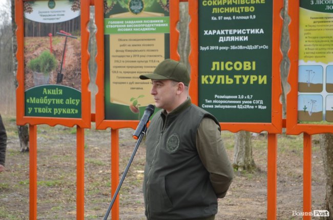 У гумових чоботах і з мечами в руках: як Савченко і волинські «віпи» садили ліс. ФОТО