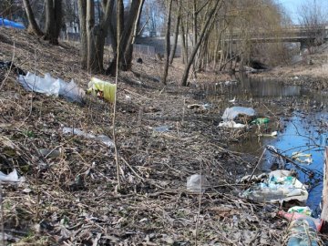 На українців чекають  великі штрафи за сміття у лісі
