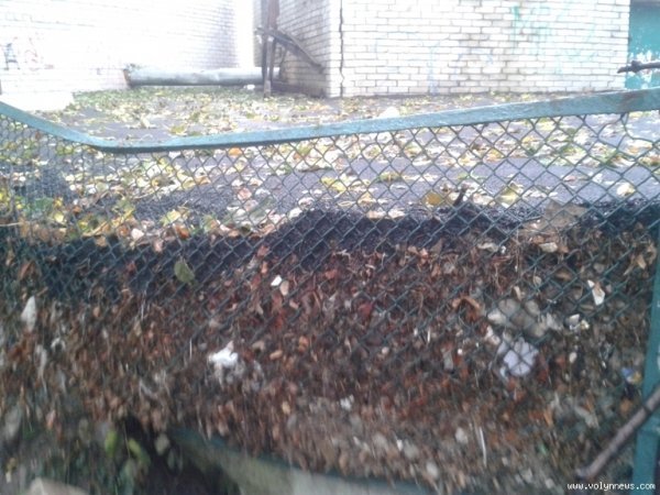 Двір після впорядкування