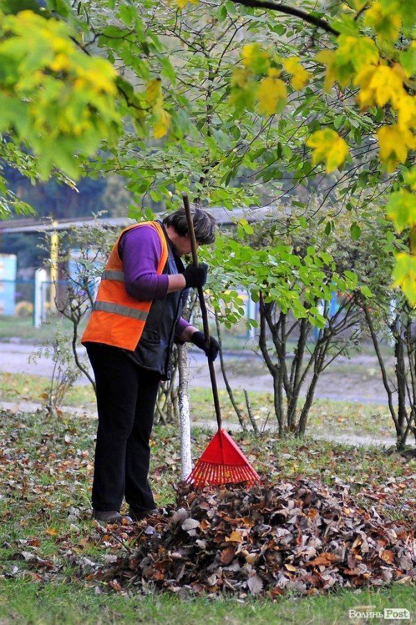 Люди, які прибирають луцькі вулиці. ФОТО