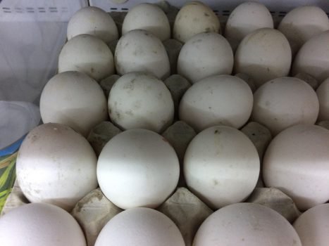 У Володимирі продавали яйця з цвіллю, – ЗМІ