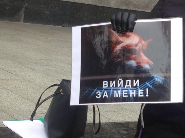 Електричний струм та газова камера: у Луцьку розповідають, як на хутряних фермах вбивають тварин. ФОТО