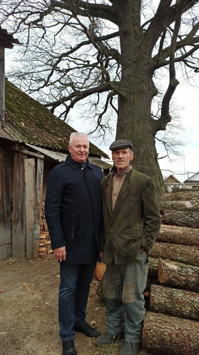 На Волині ростуть дуби-велетні, яким  700-800 років. ФОТО