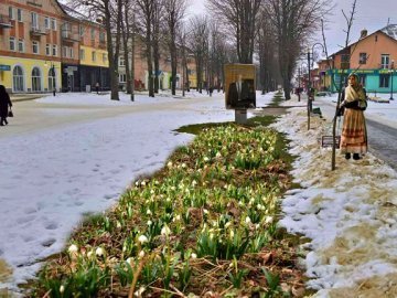 Можна саджати тюльпани, - у мережі кпинять із тепловтрат у Нововолинську