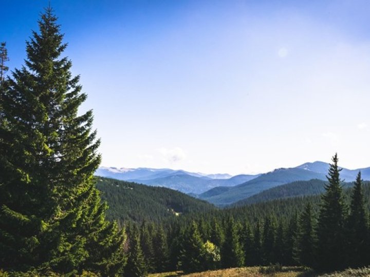 Відпочинок у Карпатах: скільки коштує оренда житла перед літнім сезоном