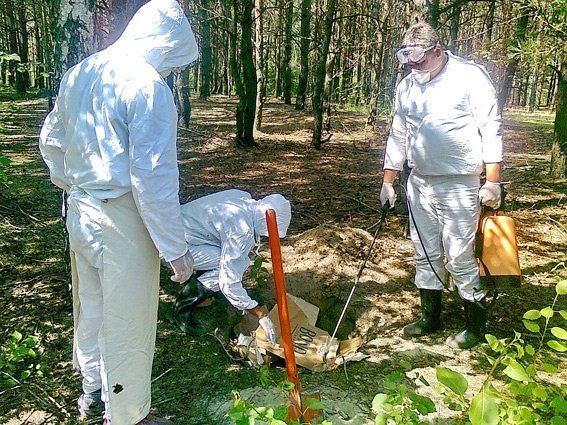 Волинських правоохоронців учили боротися з африканською чумою. ФОТО