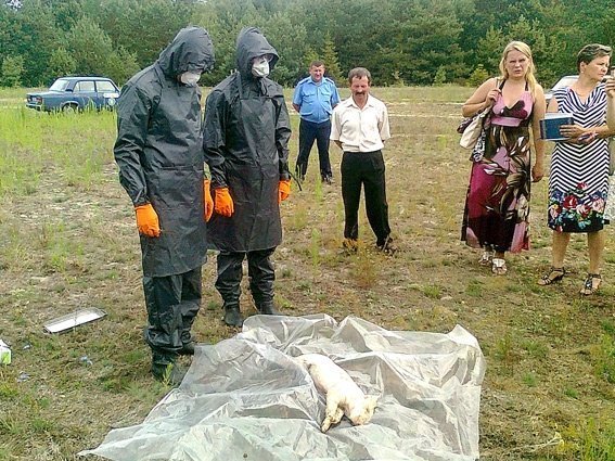 Волинських правоохоронців учили боротися з африканською чумою. ФОТО