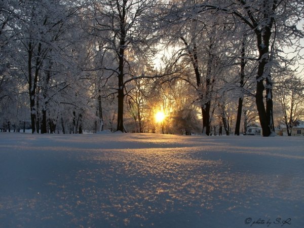 Фотовиставка Сергія Руденка