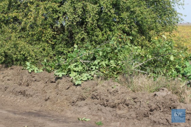 На Волині ремонтують одну з найгірших доріг області