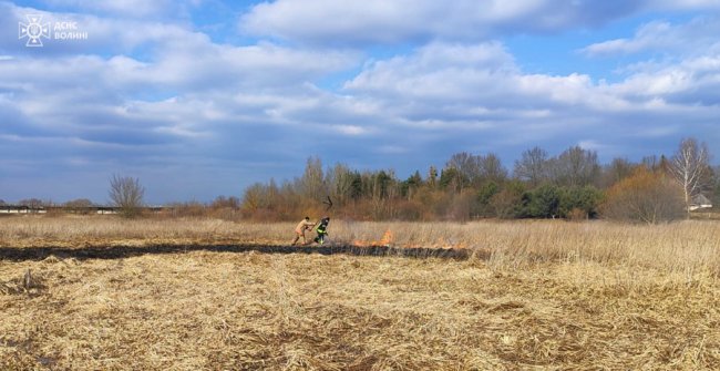 На Волині горіли три житлові будинки та суха трава