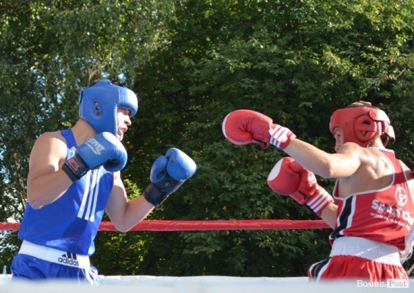 Луцькі боксери перемогли польських. ФОТО 