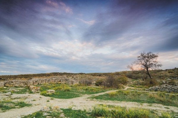 Фотовиставка Олександра Шишкіна