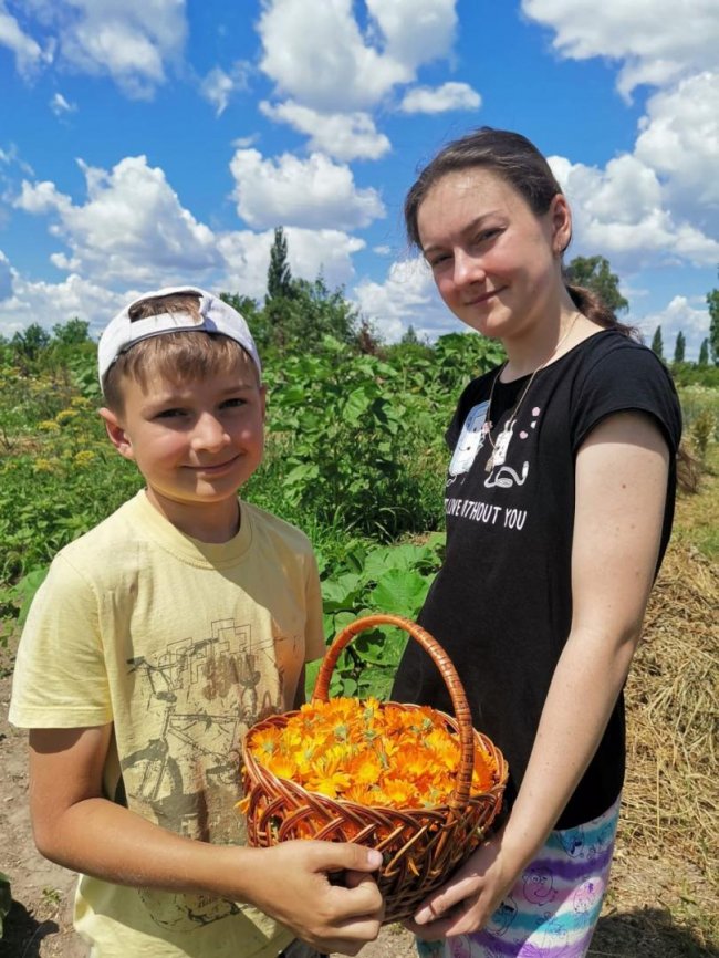 На Волині школярі збирають трави для чаїв українським військовим. ФОТО