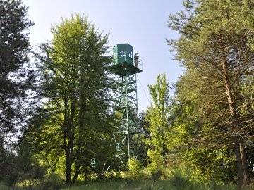 Волинські прикордонники затримали росіянку, яка намагалася перетнути українсько-білоруський кордон