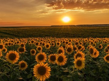 Якою буде погода на Волині завтра, 19 серпня 