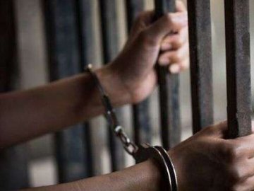 Судитимуть волинянку, яка підробила документи та побудувала незаконні споруди в Луцькому районі