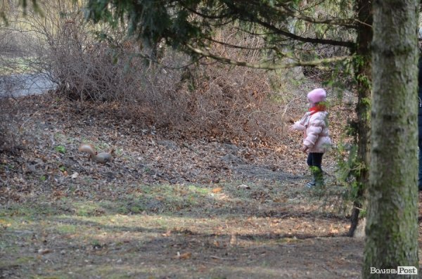 В Луцьку майже весна. ФОТО