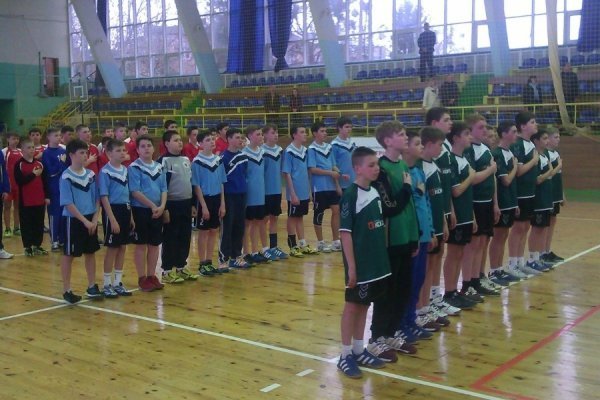 Луцькі гандболісти стали чемпіонами України в «Стрімкому м’ячі-2015». ФОТО