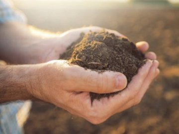 З моменту запровадження мораторію в Україні зникла половина держземель