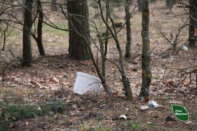 У лісах Волині виявили безліч стихійних сміттєзвалищ