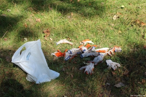 У Луцьку прибрали спортмайдачник біля «Спартака». ФОТО