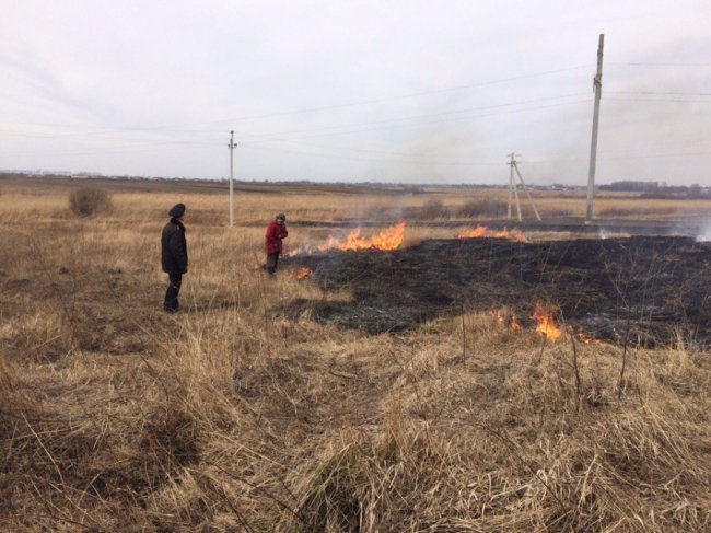 На Волині – 16 пожеж через спалювання сухостою