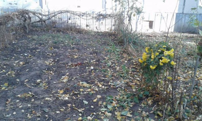 Луцькі муніципали  «борються» з незаконними огорожами