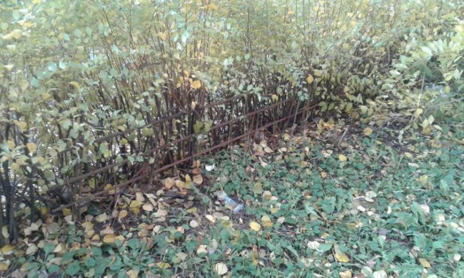 Луцькі муніципали  «борються» з незаконними огорожами